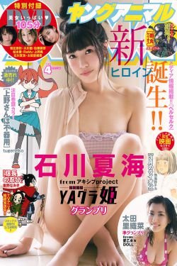 与狼共舞电视剧